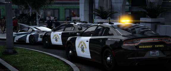 Officers in Traffic Stop [1]