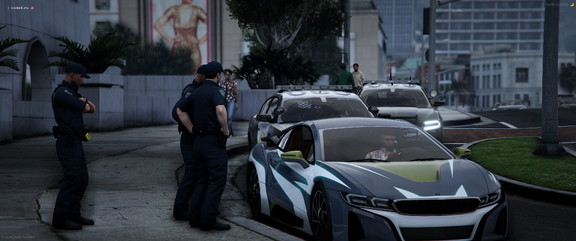 Officers in Traffic Stop [2]