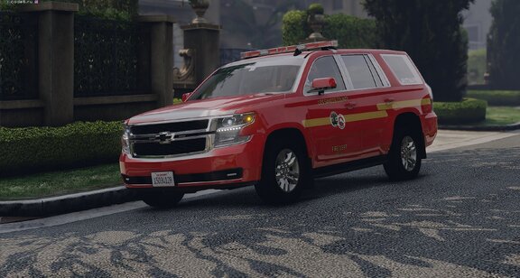 LSCoFD Batalion 5