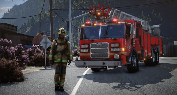 LSCoFD Quint 733 on training