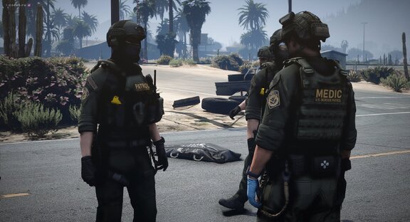 DHS SRT on incident