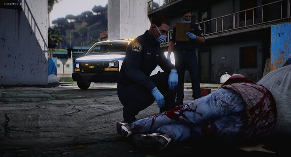 LS County coroner service on incident [2]