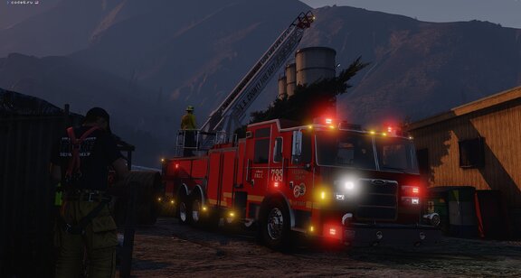 LSCoFD Quint 733