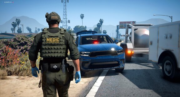 DHS TEMS on incident
