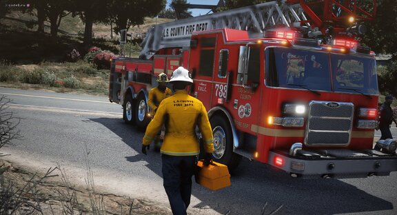 LSCoFD Quint 733 medical assistance