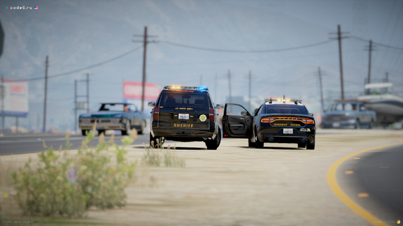 Brothers in blue