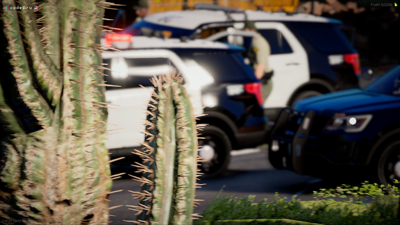 A cactus mess