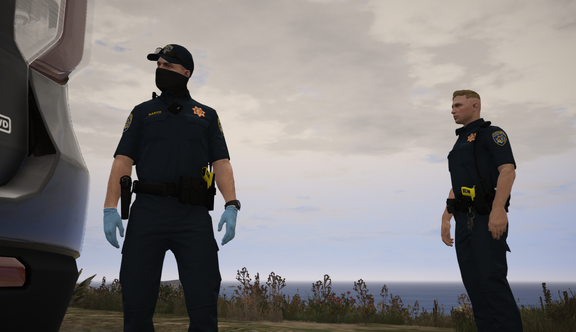 Men in Blue
