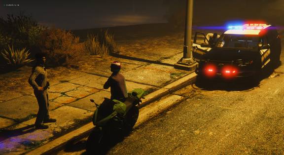 traffic stop.png