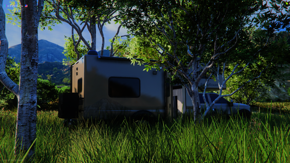 Weekend in the forest