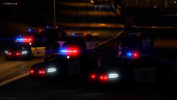 Felony Traffic Stop