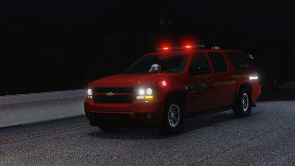 LSCoFD Batalion 73 on highway