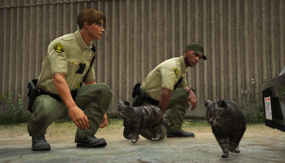 A few kittens (4)