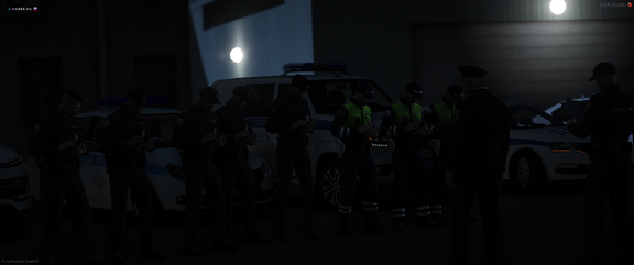 Развод перед дежурством, с донесением оперативной информации