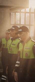 Три верных блюстителя, три. . .