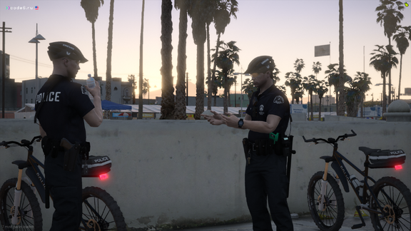 Recreation of the bike unit