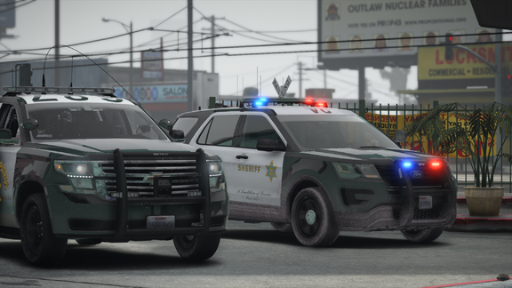 Guardians of the concrete jungle