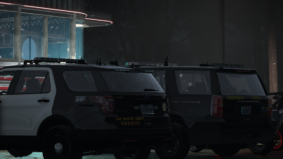 Wet lights bled across the parked patrol cars.