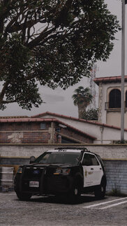 Earthquakes shake the dust behind you.