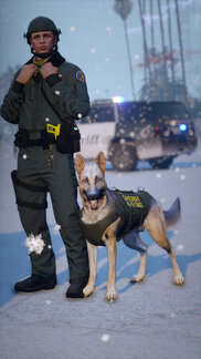 So bright the sun is ashamed to rise and be.