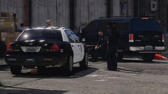 A city blackout and a sea of white.