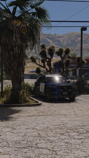 The feeling was completely new.