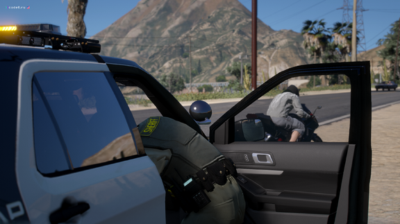 Traffic stop