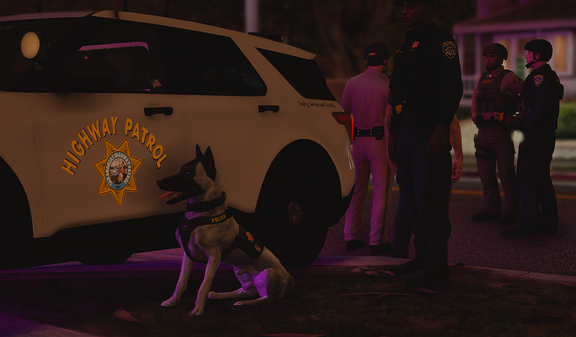 Barricaded Suspect [2]