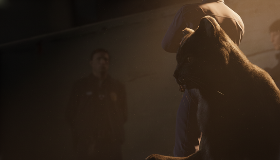 A cat among the officers