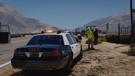 Some Sheriff Enforcement