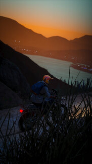 Top of food chain like an eagle.