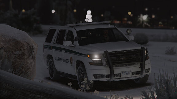 At the christmas party hop.