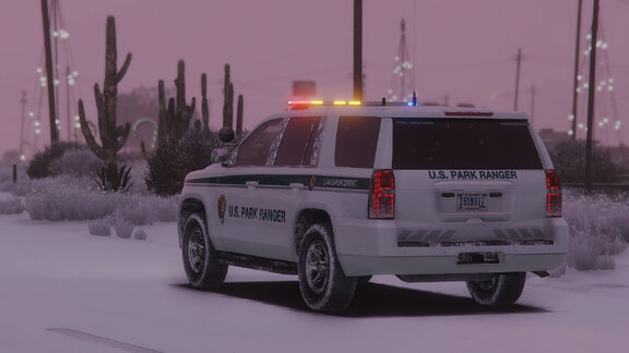 Rockin' around the Christmas tree.