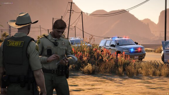 Report to the sergeant on the use of force