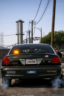 Palm, Trees and Sirens