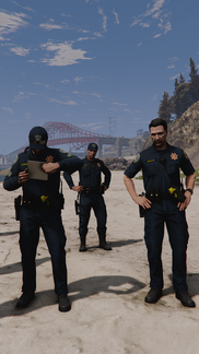 All the leaves are brown