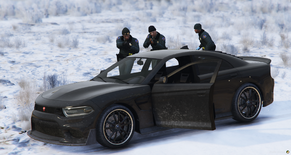 Police procedure: checking the car