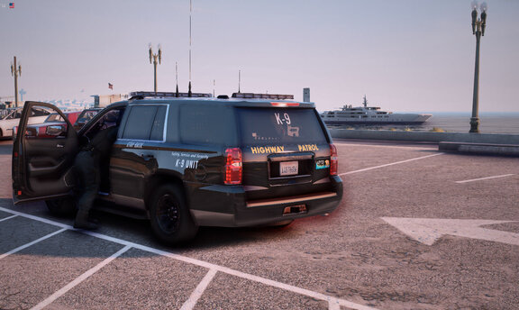 Parking, dog and toys