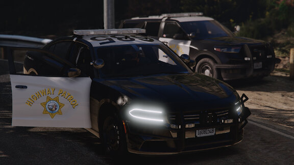 It's time to cut me loose.