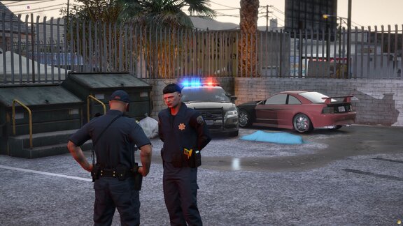 Report on the use of force