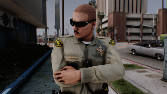 Hicks DVS Deputy Sheriff