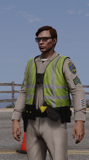 Traffic Enforcer