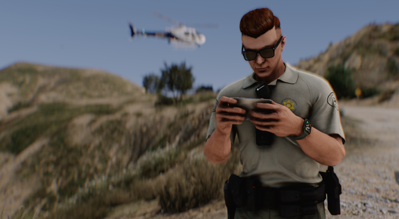 Search & Take into the custody