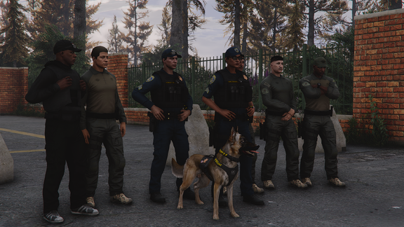 LSSD SEB & SAHP K9 [2]