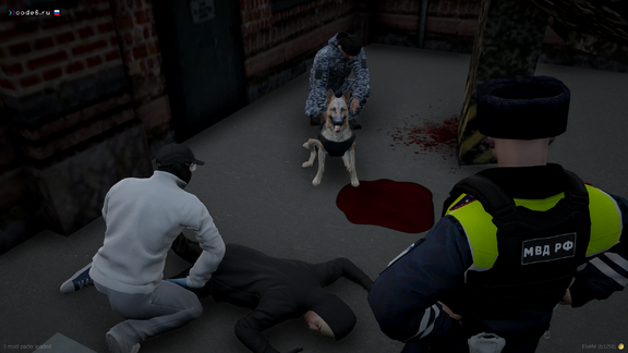 Нора, взять!