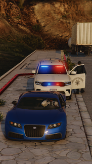 Highway Patrol Traffic Stop