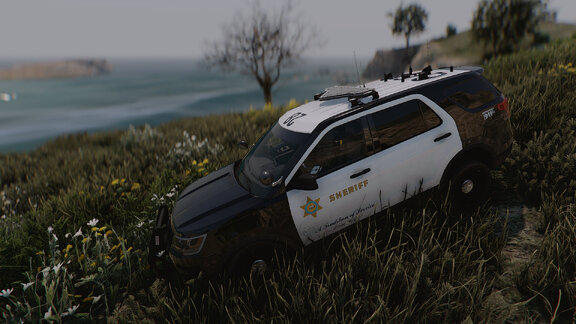 All I want is to be free