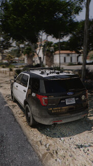 I'm a fly, fly just like a bird