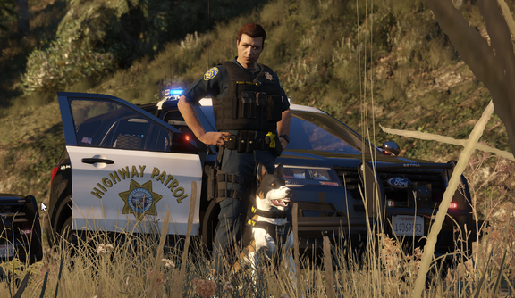 K9 on guard of order