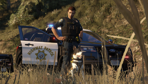 K9 on guard of order.